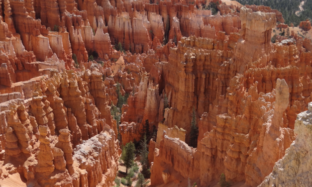 DUTCH TOURIST: DE MAJESTUEUZE CANYONS