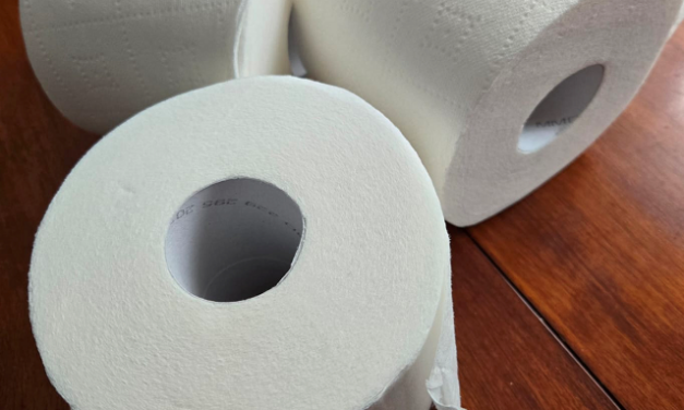 Wiping your bottom in America is very much Dutch