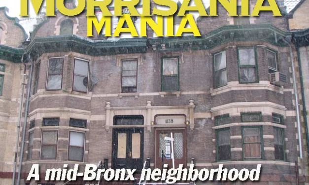 A DUTCH STORY IN THE BRONX