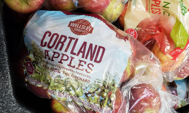 THE CORTLAND APPLES FROM HOLLAND