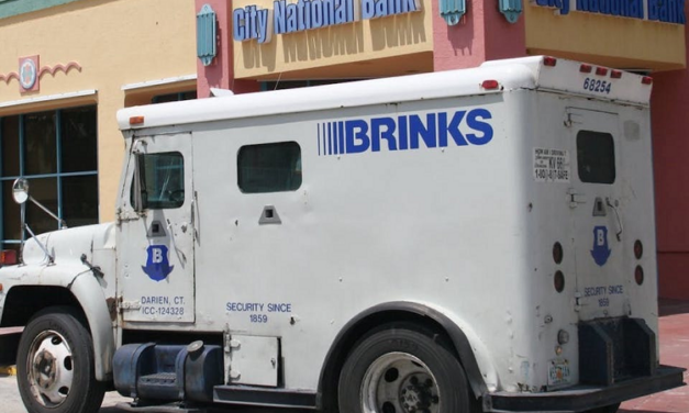 HANS BRINKER’S WILDLY SUCCESSFUL SONS