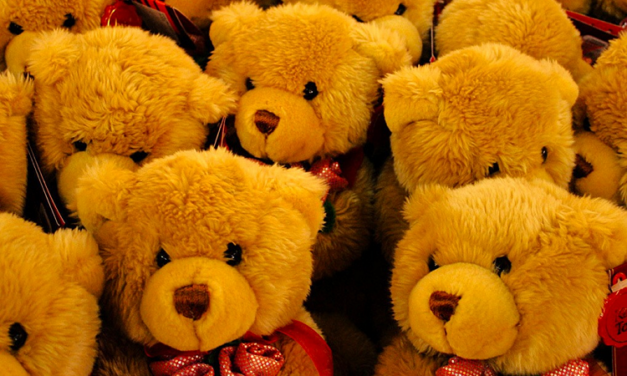 THE TEDDY BEAR FROM HOLLAND