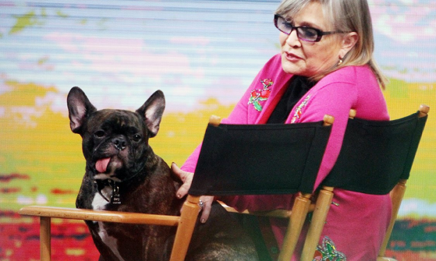 PRINCESS LEIA, JAN, AND THE DOG