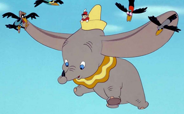 DUMBO, THE LIL’ DUTCH ELEPHANT