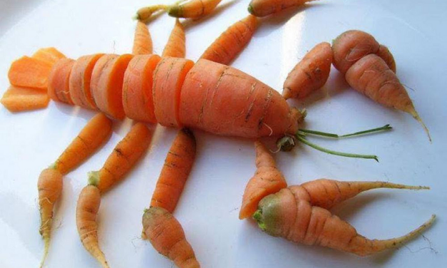 THE PRINCE OF CARROTS