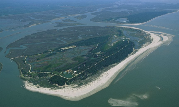 DUTCH KEES DE WEES’S ISLAND