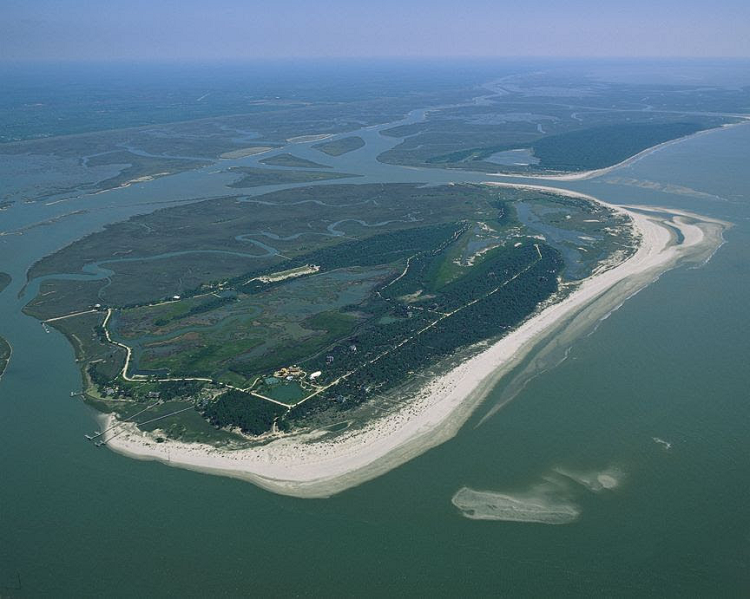 DUTCH KEES DE WEES’S ISLAND